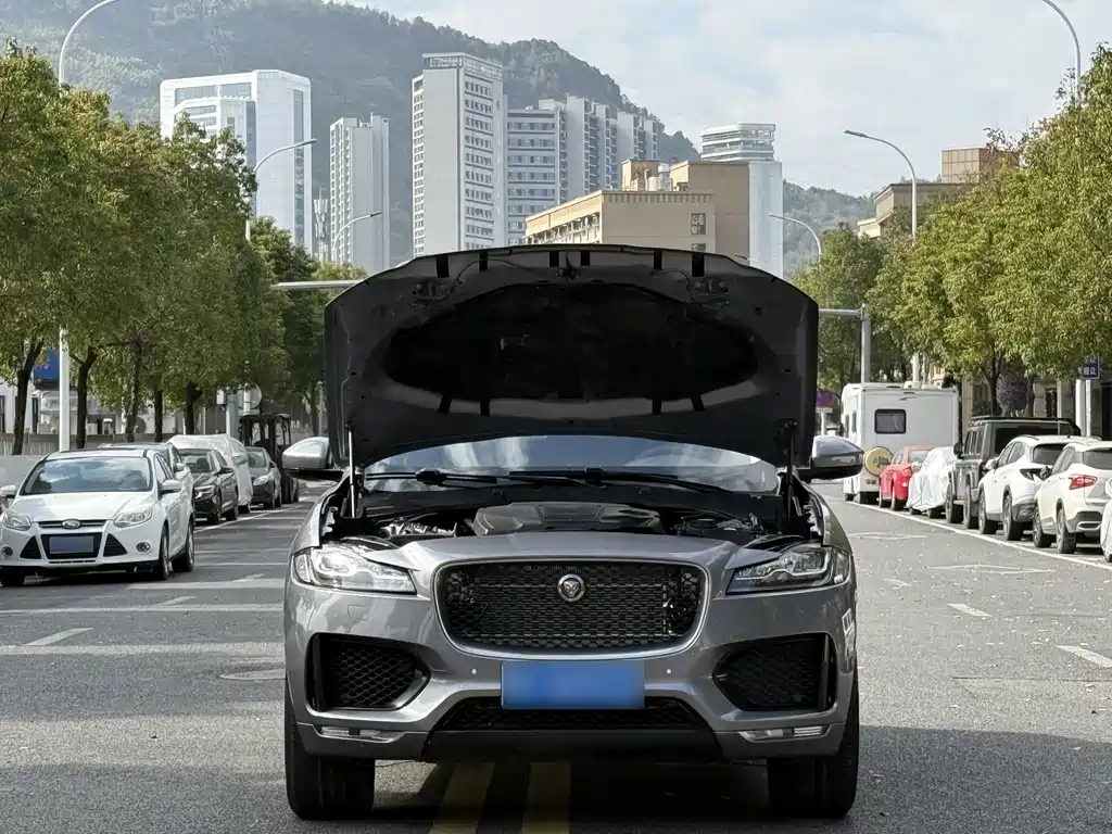 Jaguar F-PACE 2021 — фото 9