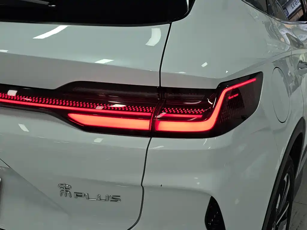 BYD PLUS New Energy 2024 — фото 11