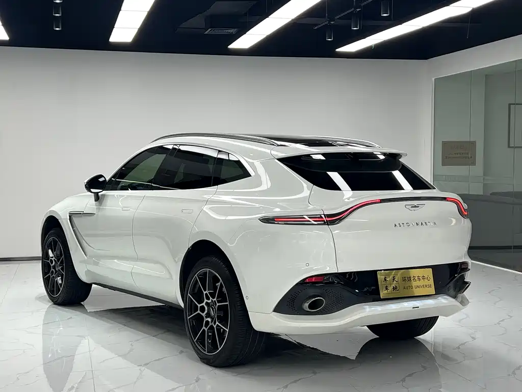 Aston Martin DBX 2021 — фото 6