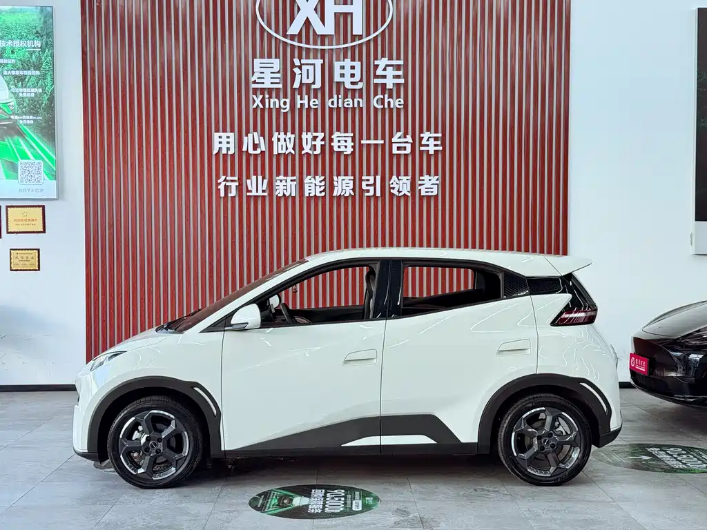 BYD Seagull 2024