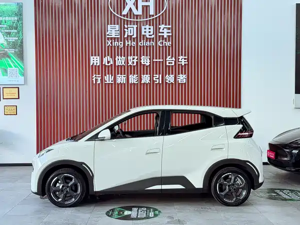 BYD Seagull 2024