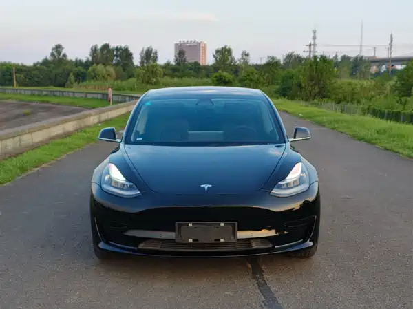 Tesla Model 3 2020