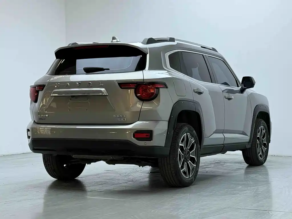 Haval Big Dog PLUS New Energy 2024 — фото 8