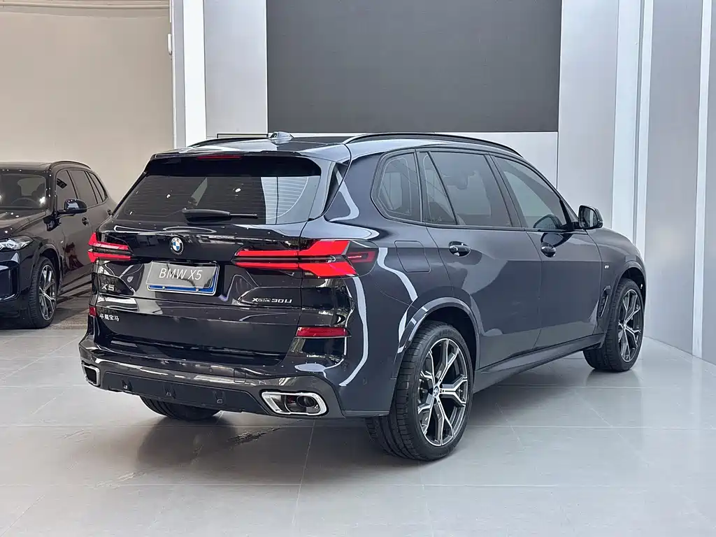 BMW X5 2025 — фото 18