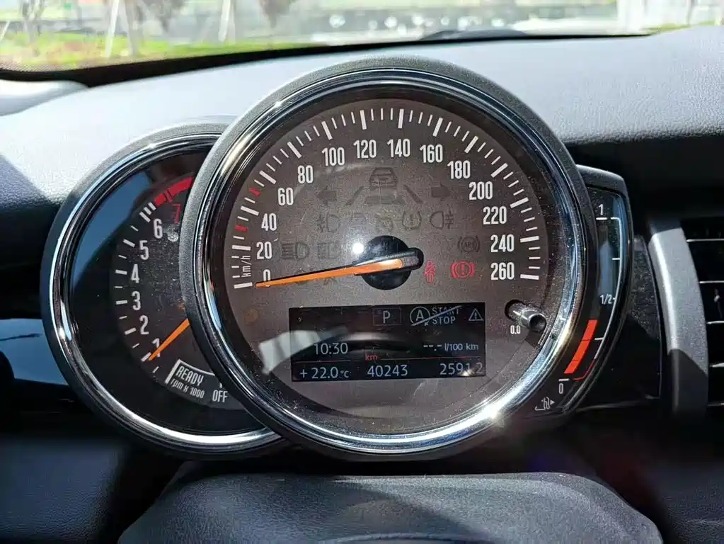 MINI MINI 2019