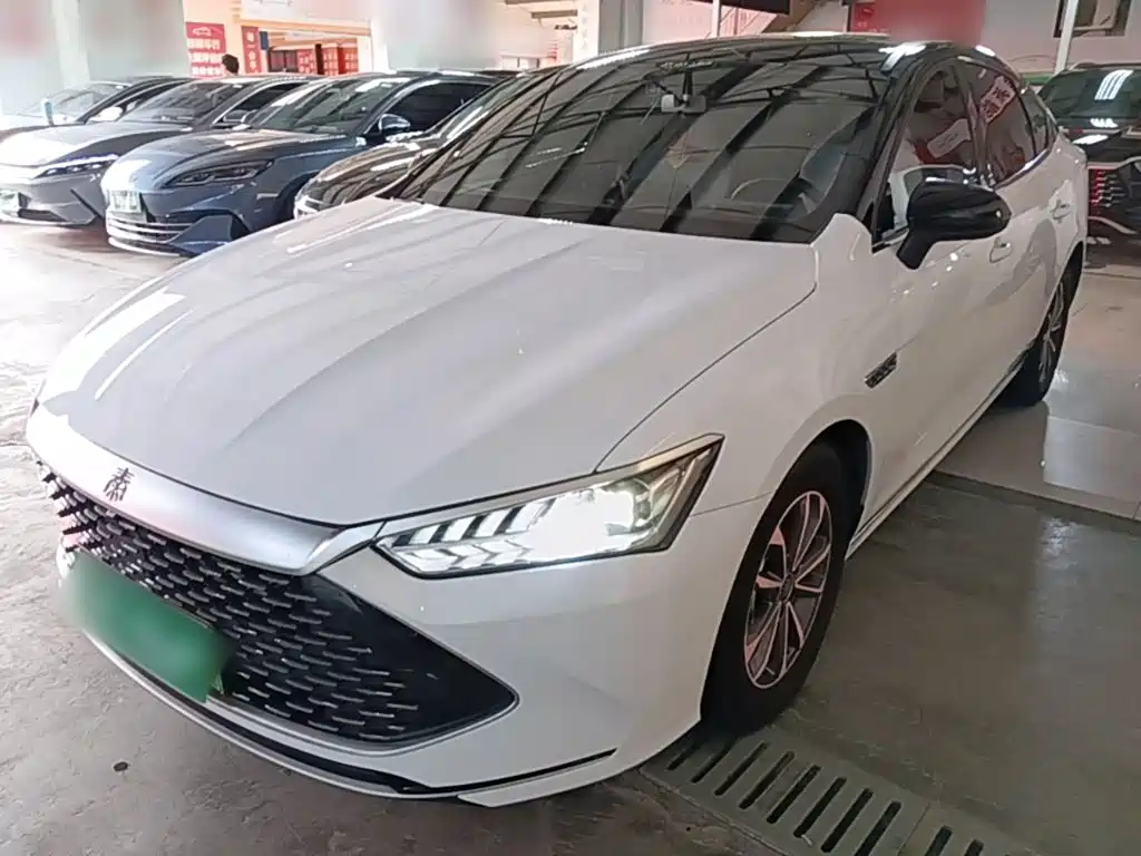 BYD Qin PLUS 2024 — фото 1