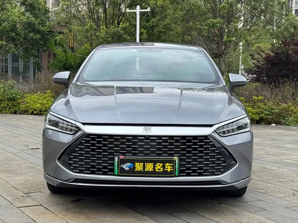 BYD Qin PLUS 2023 — фото 2