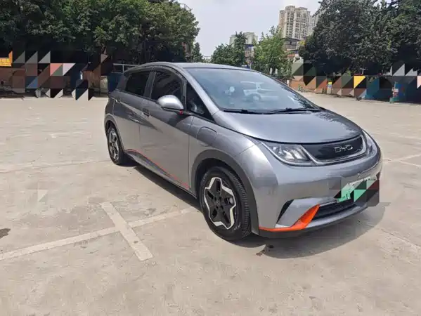 BYD Dolphin 2022