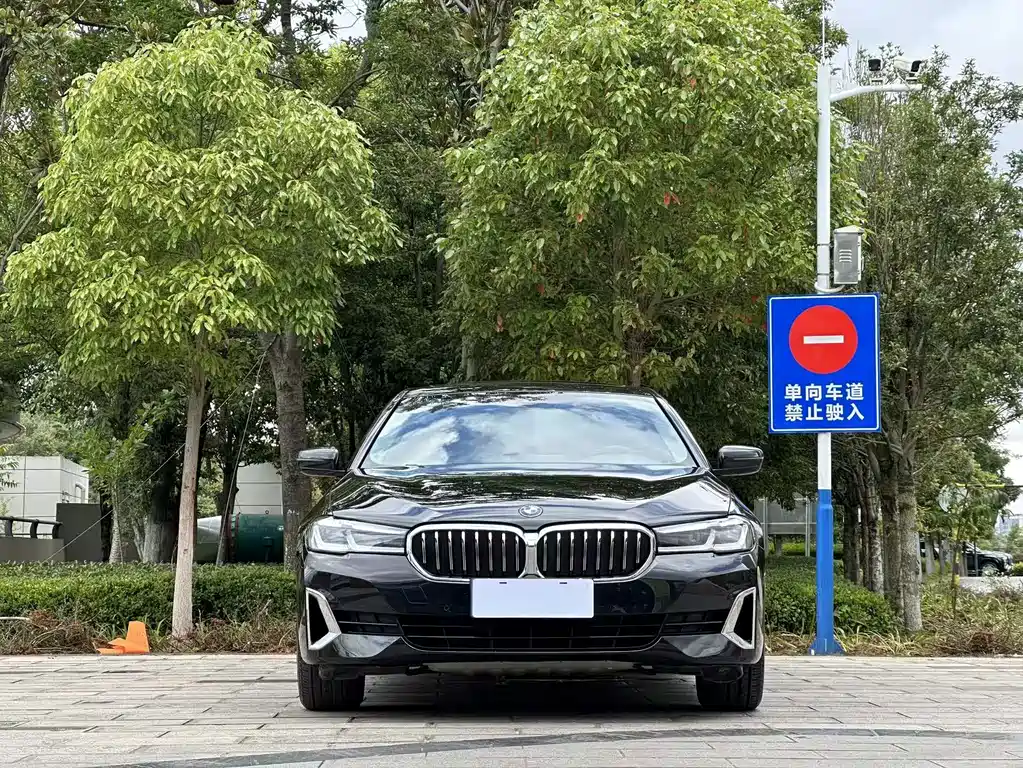 BMW 5 Series 2021