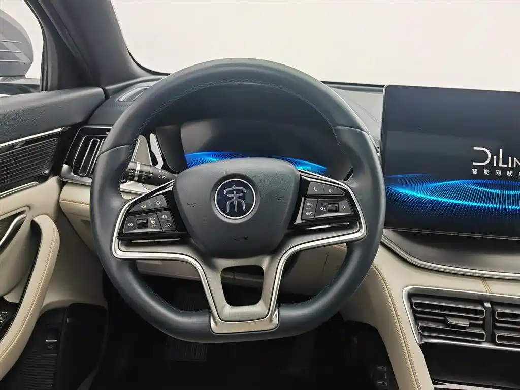 BYD PLUS New Energy 2023 — фото 11
