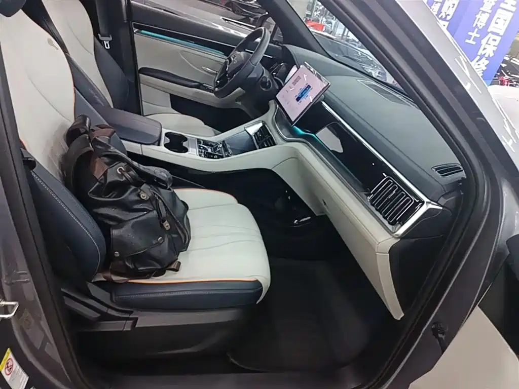 BYD PLUS New Energy 2024 — фото 25
