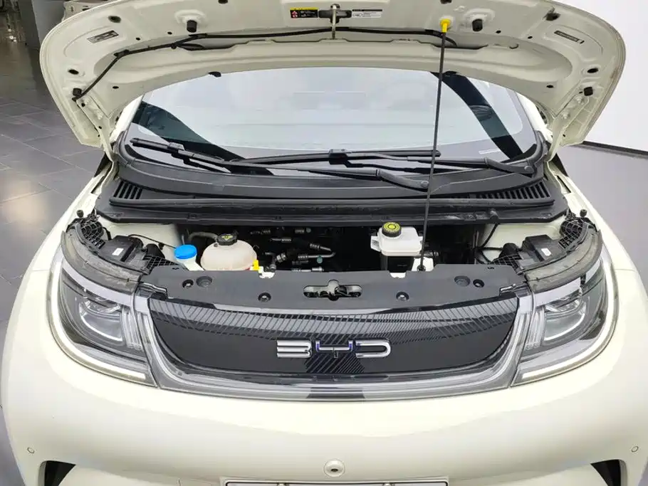 BYD Dolphin 2023 — фото 10