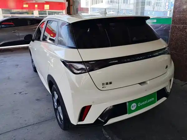 BYD Dolphin 2024