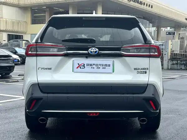 Toyota Weilanda New Energy 2021
