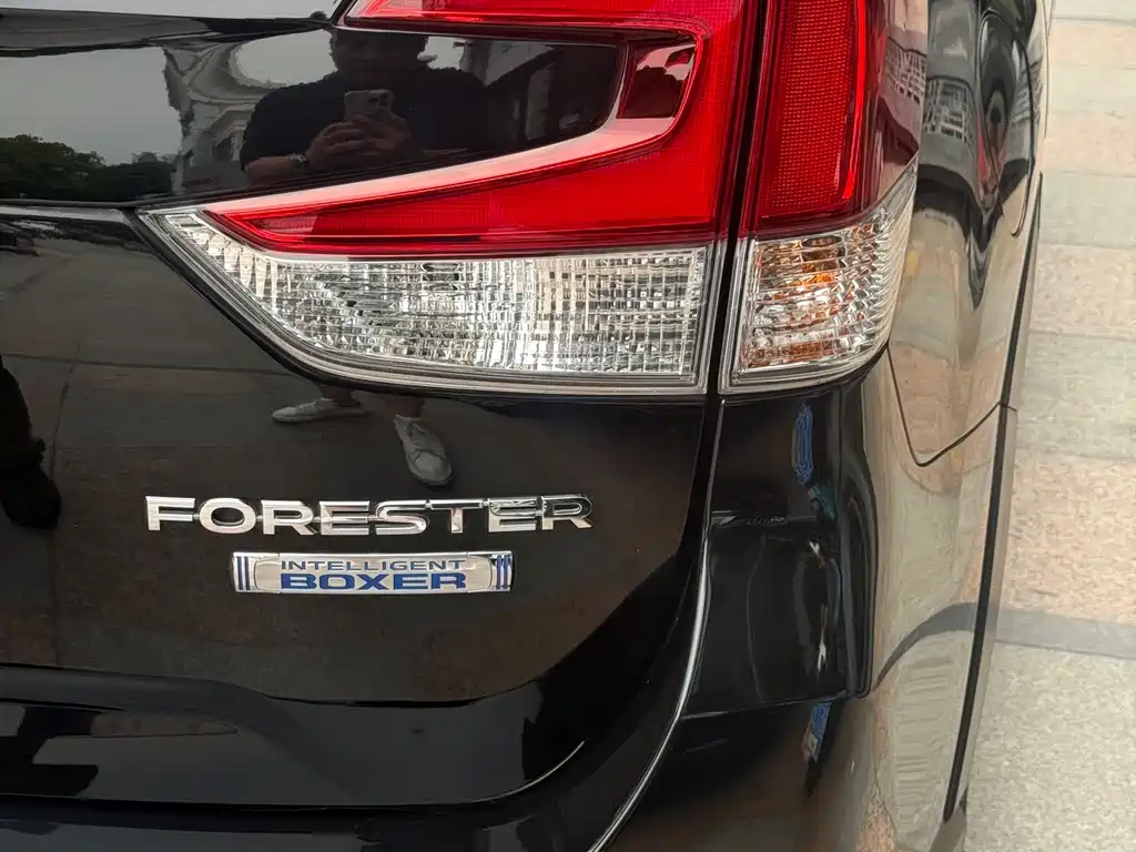 Subaru Forester 2019 — фото 13