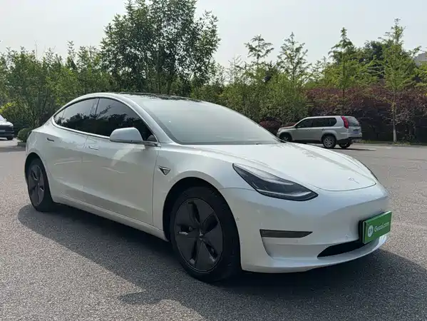 Tesla Model 3 2019