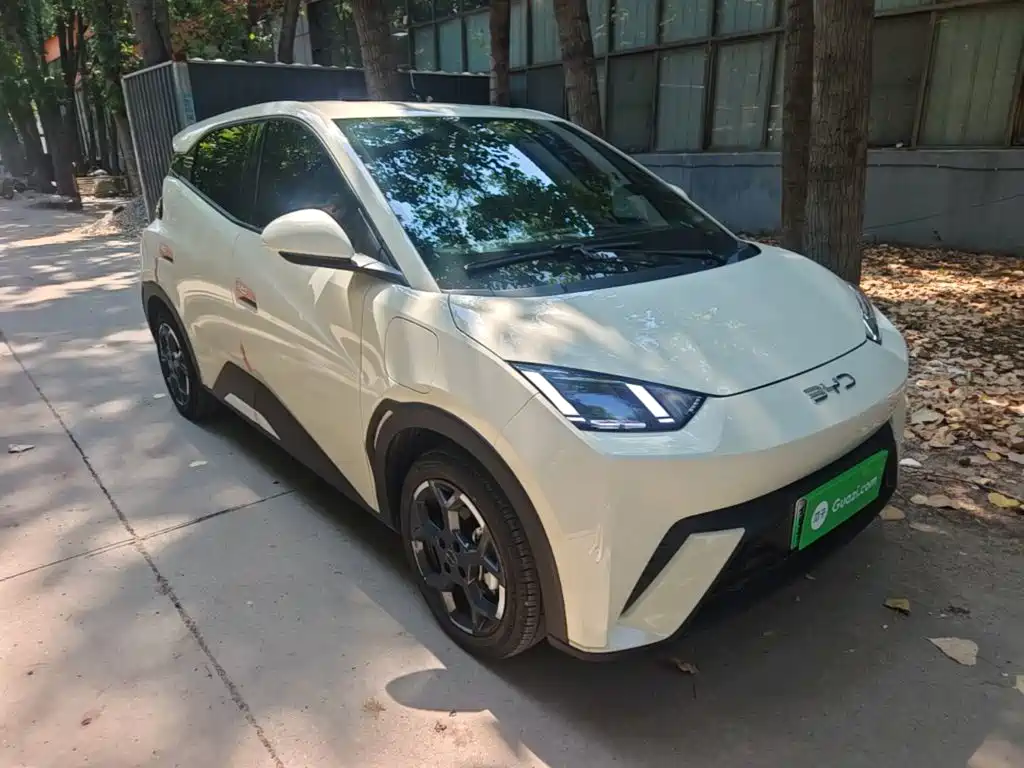 BYD Seagull 2024