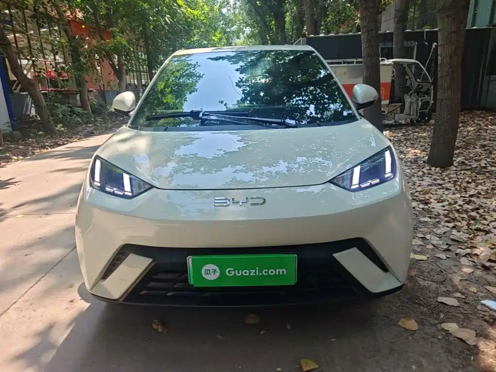 BYD Seagull 2024