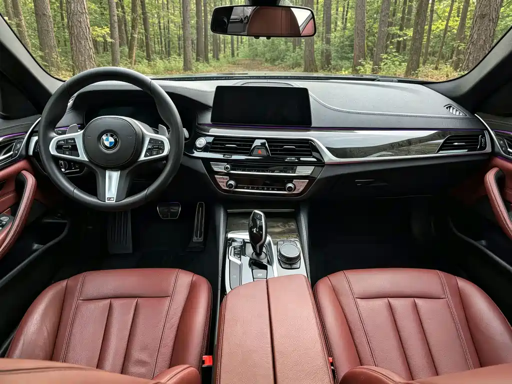 BMW 5 Series 2020 — фото 13