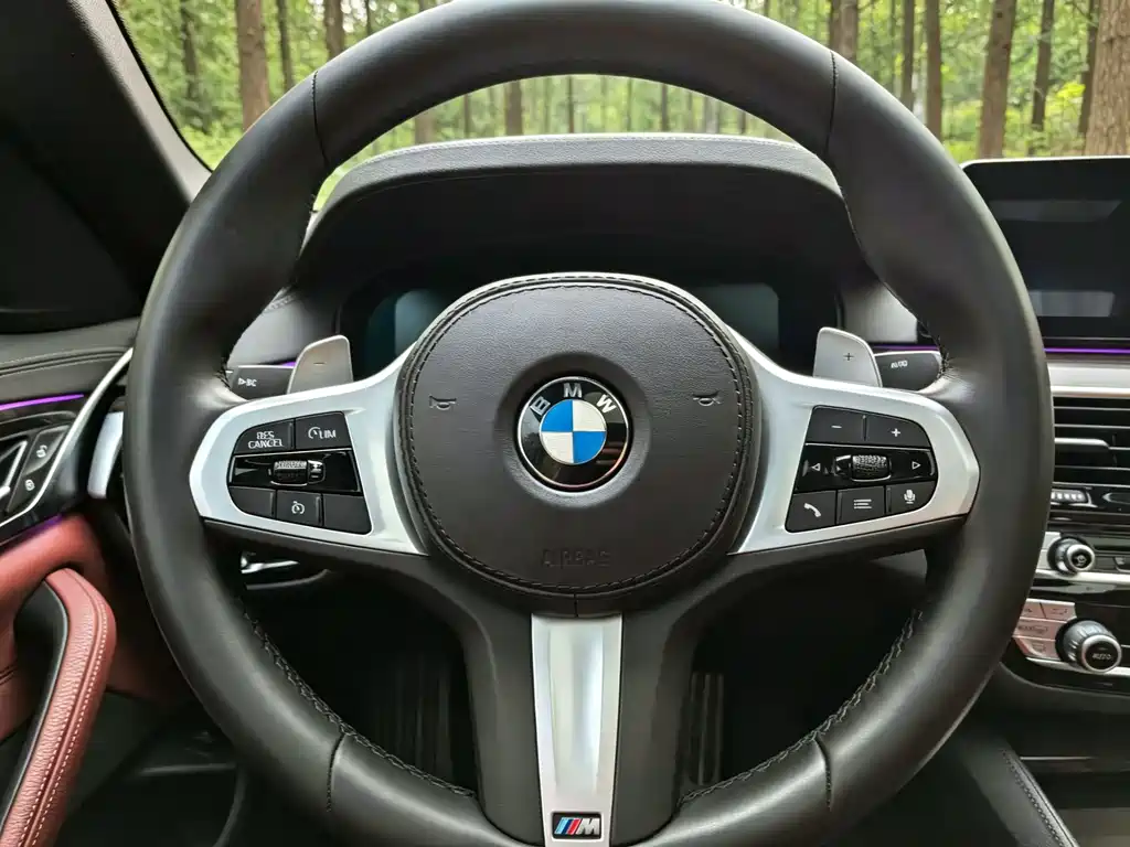BMW 5 Series 2020 — фото 14