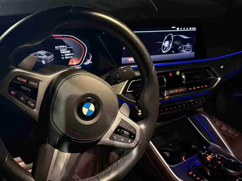 BMW X6 2021 — фото 7
