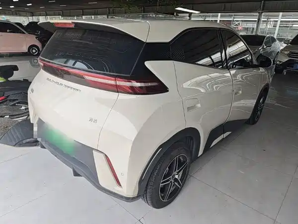 BYD Seagull 2024