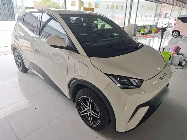 BYD Seagull 2024