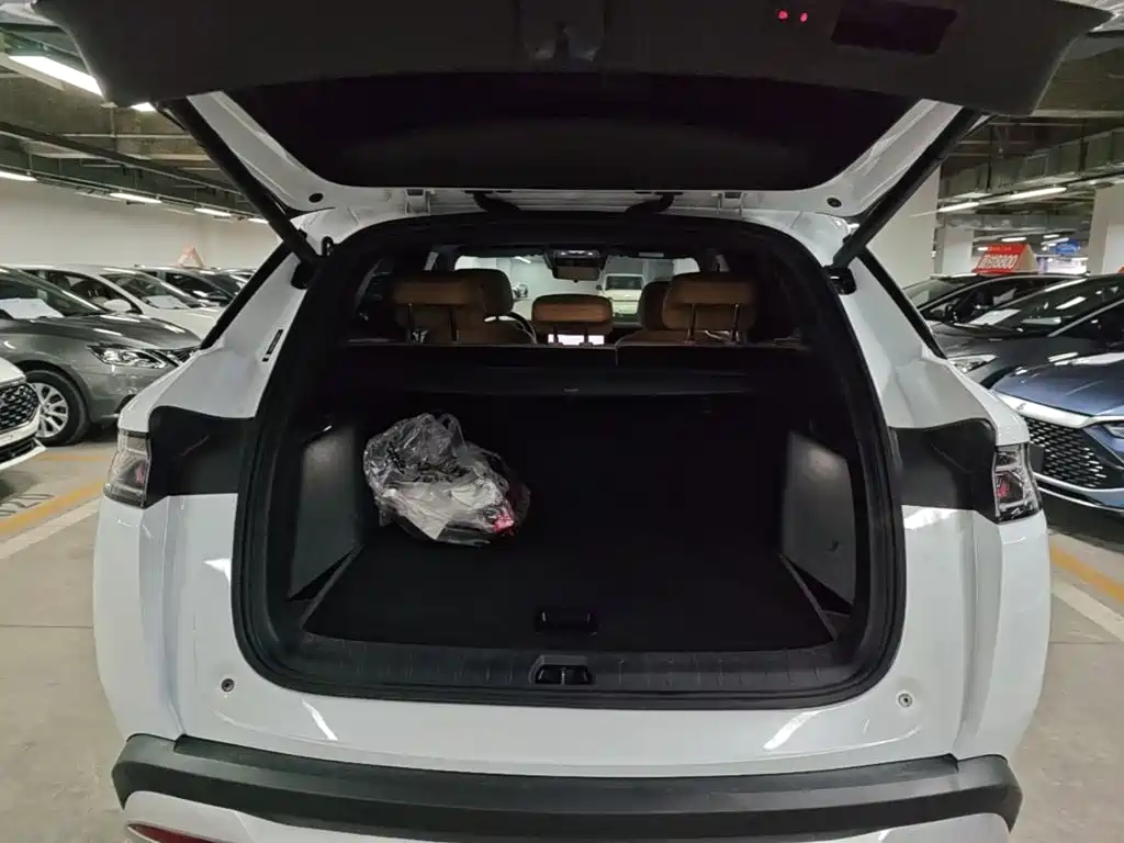 BYD Song L DM-i 2025 — фото 19