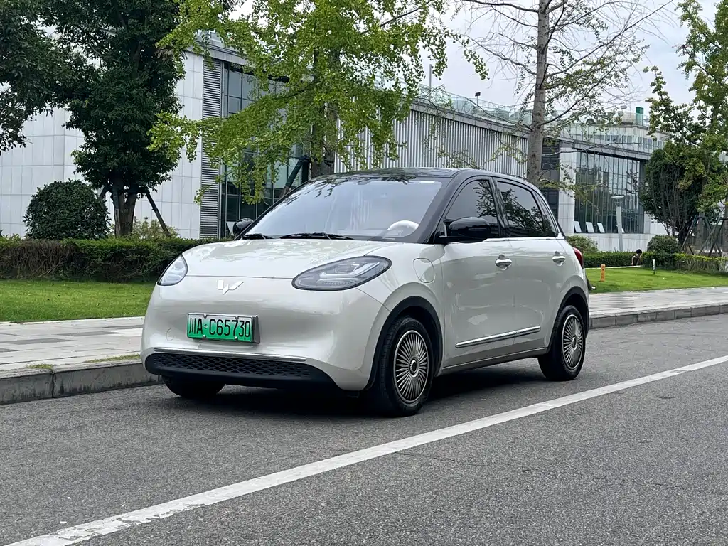 Wuling Bingo 2025