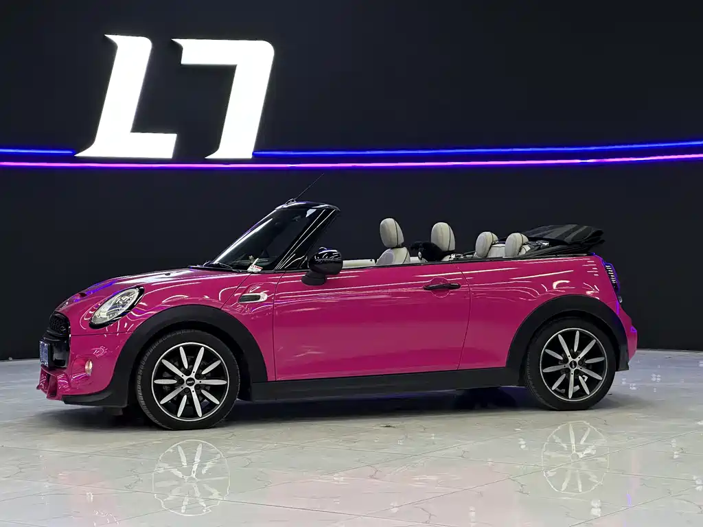 MINI MINI 2016 — фото 10