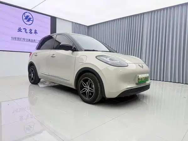 Wuling Bingo 2023