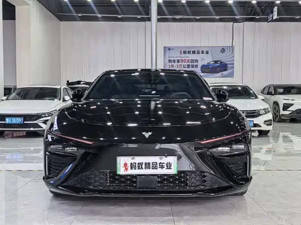 Neta S 2024