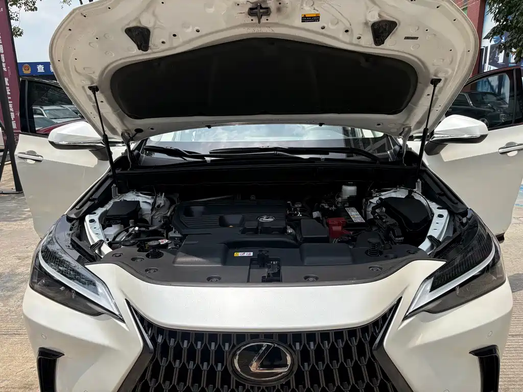Lexus NX 2023 — фото 19