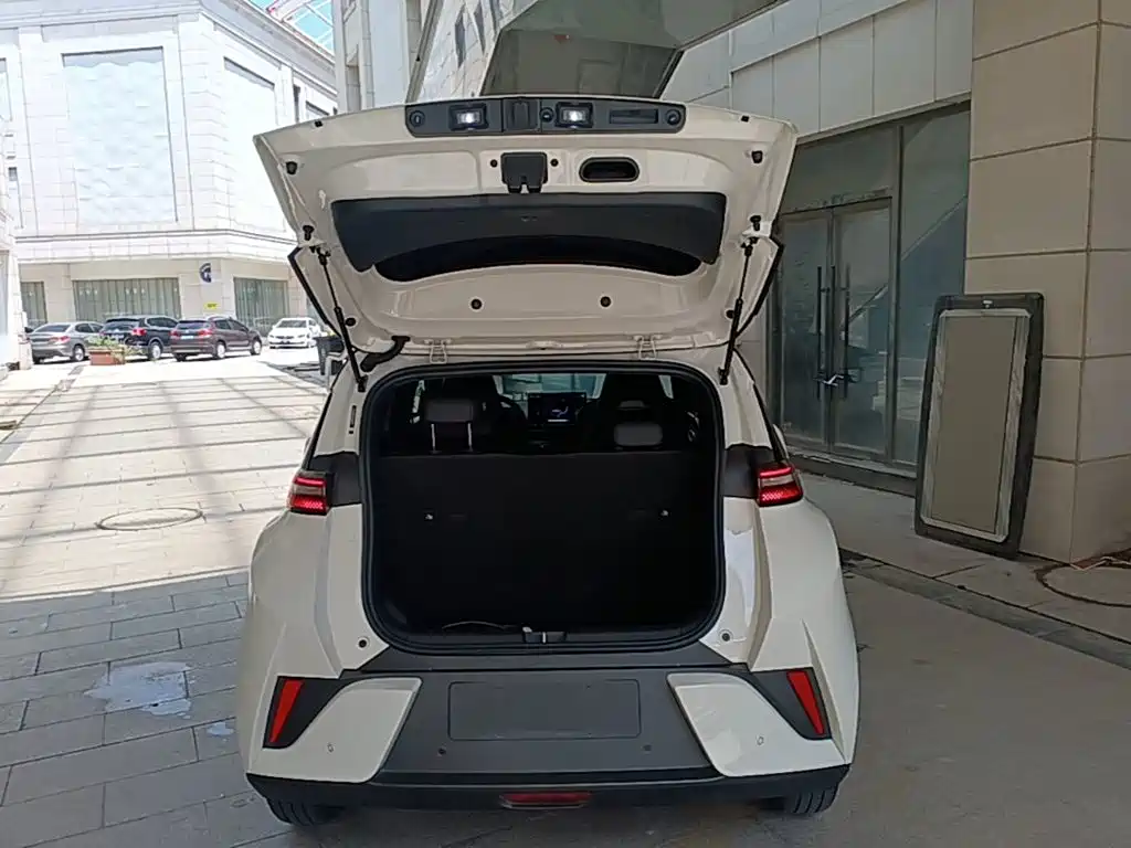 BYD Seagull 2025 — фото 19