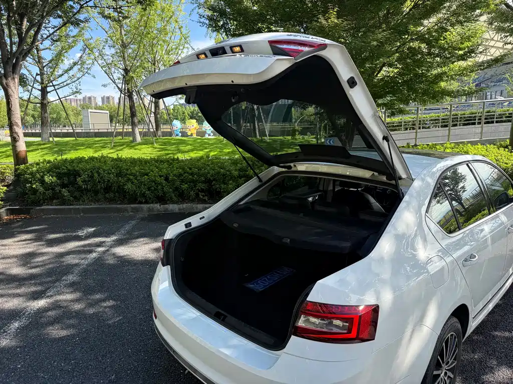 Skoda Octavia 2018 — фото 14