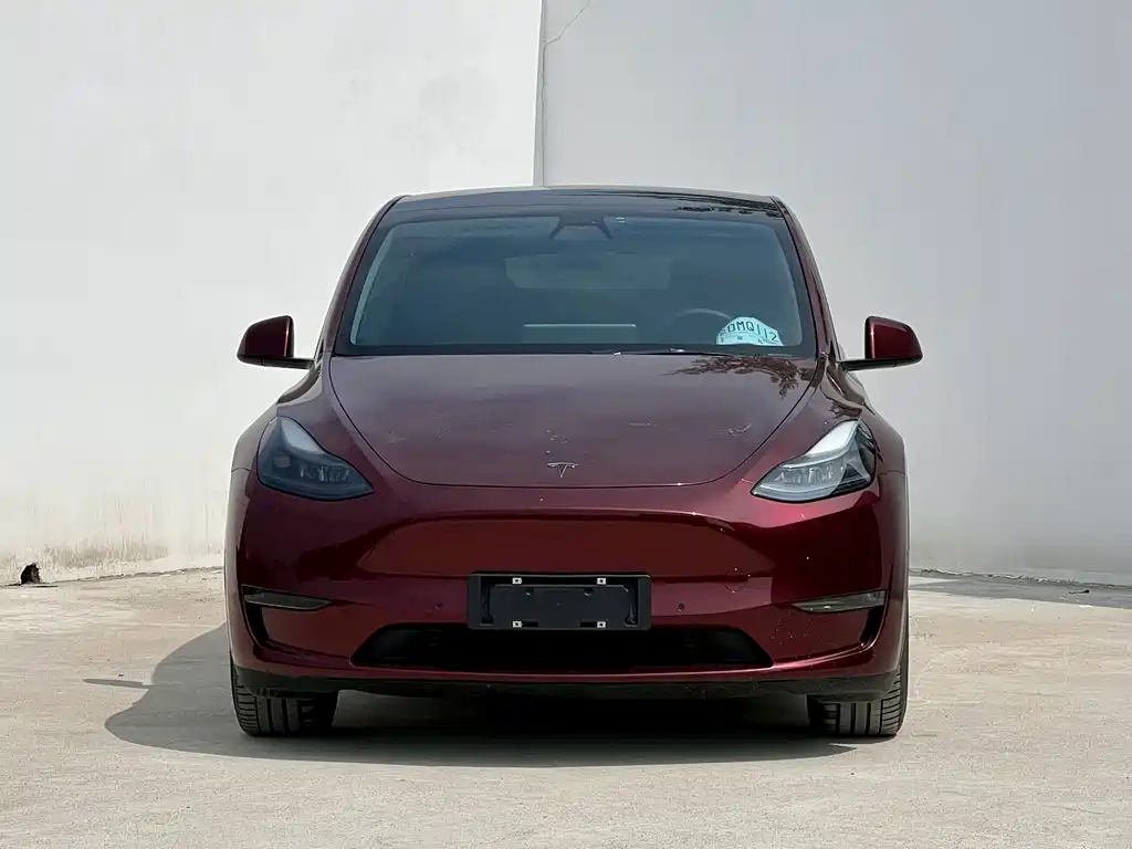 Tesla Model Y 2021 — фото 2
