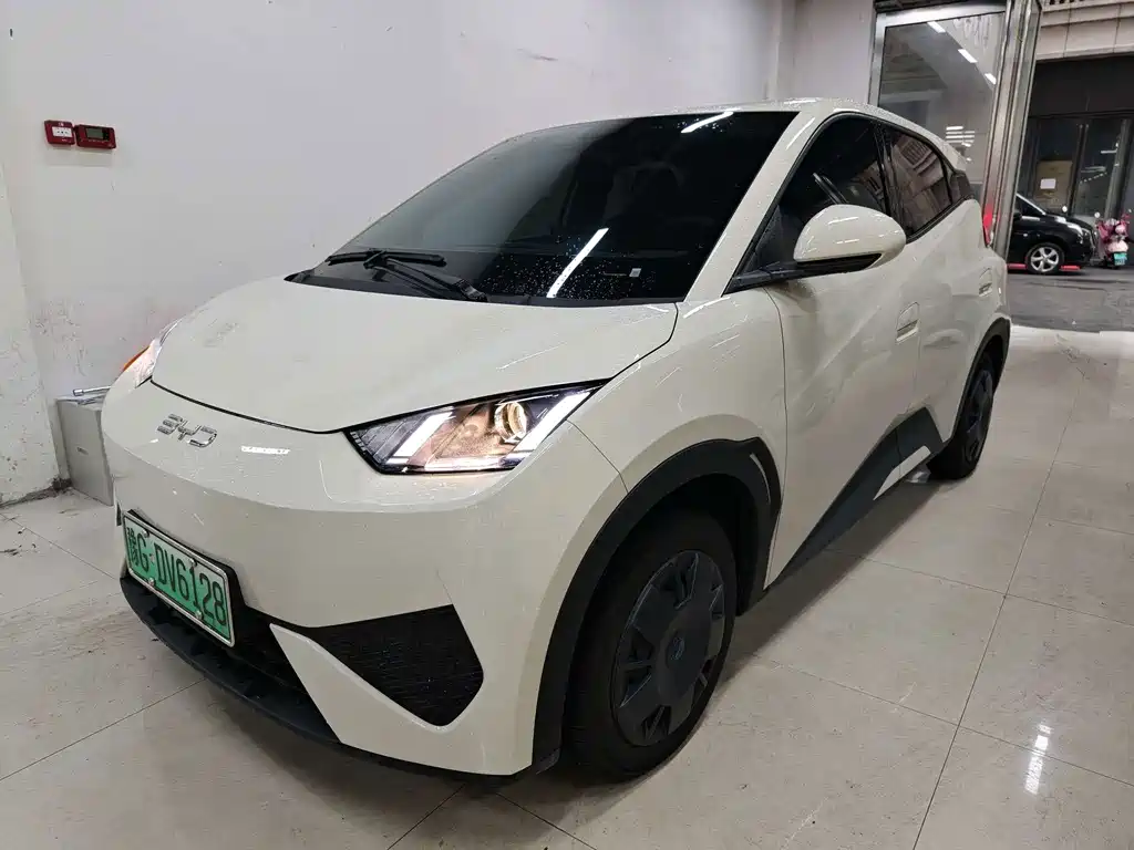 BYD Seagull 2025