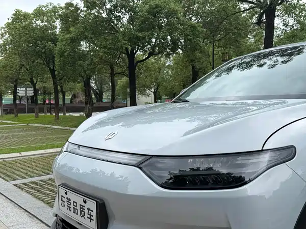 Leapmotor C11 2024