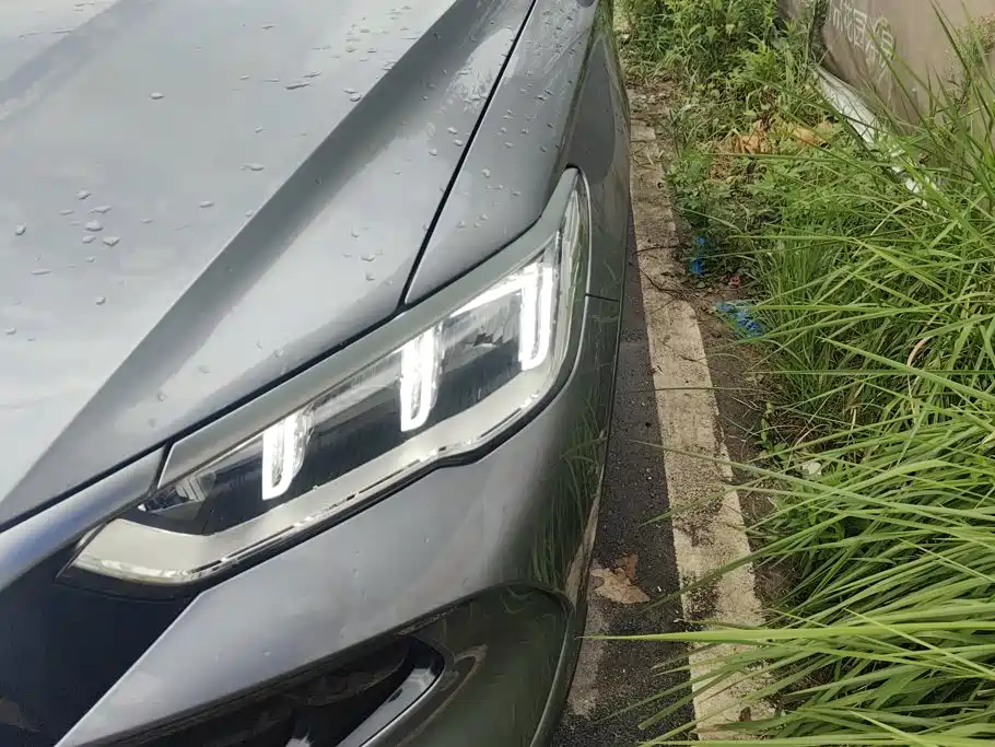 BYD Song Pro New Energy 2024 — фото 5