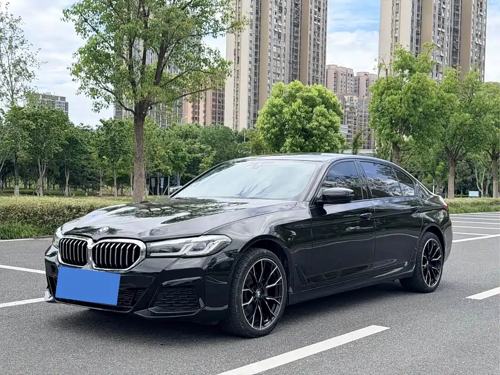 BMW 5 Series 2021