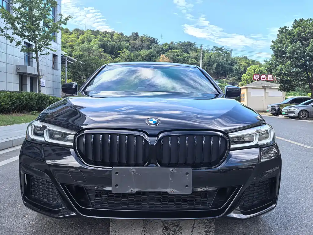 BMW 5 Series 2020