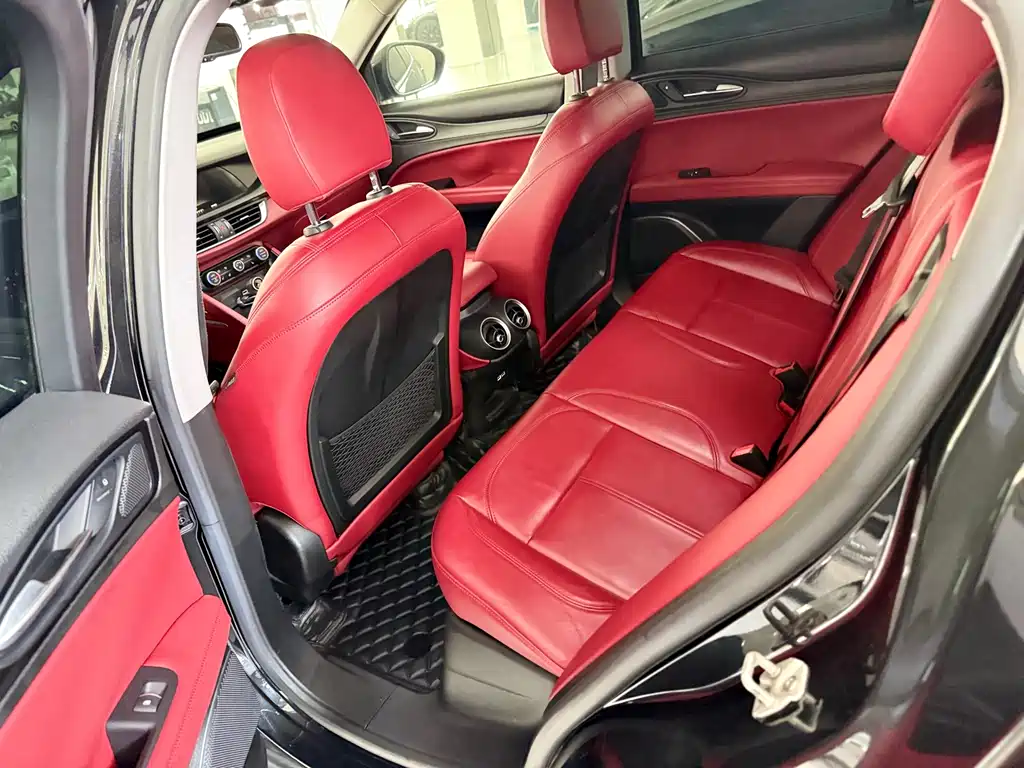 Alfa Romeo Stelvio 2019 — фото 11