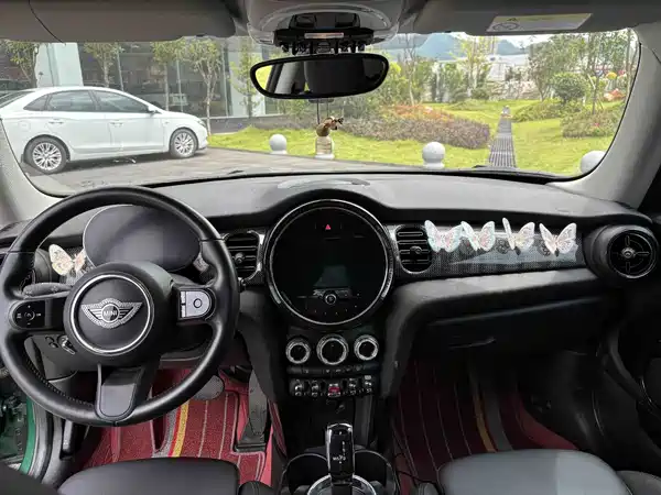 MINI MINI 2021