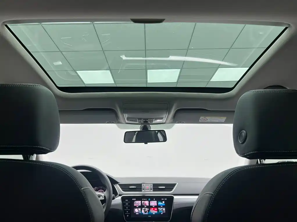 Skoda Speedy 2024 — фото 19