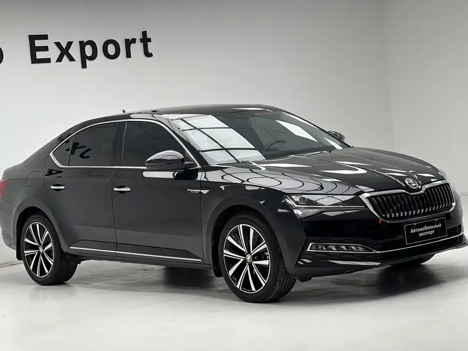Skoda Speedy 2024