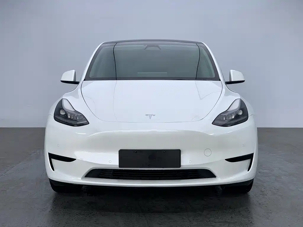 Tesla Model Y 2024 — фото 2