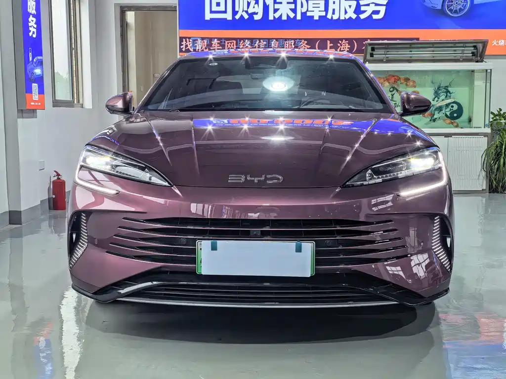 BYD Seal 07 DM-i 2024 — фото 2