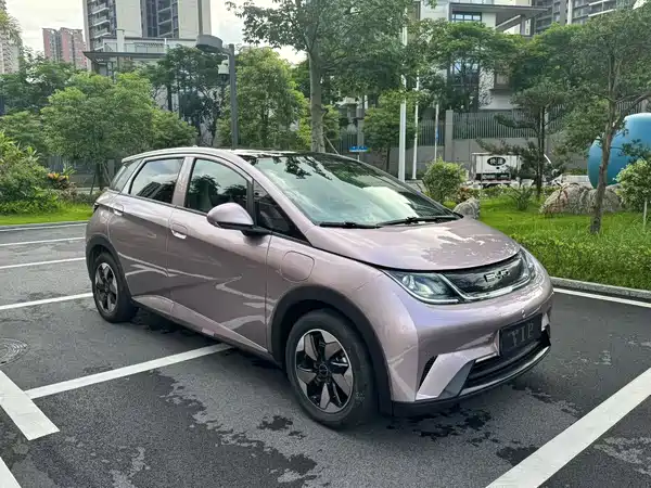 BYD Dolphin 2024