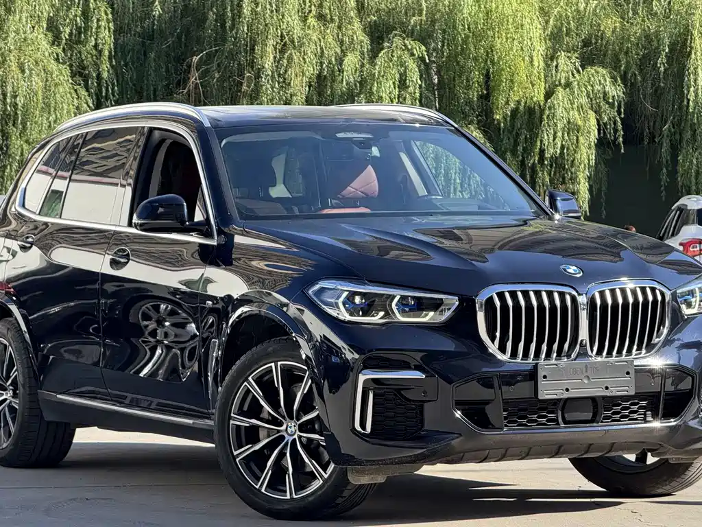 BMW X5 2022 — фото 3