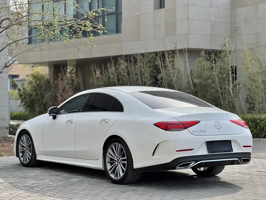 Mercedes-Benz CLS 2019 — фото 19